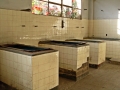 SDC10977-baja.jpg