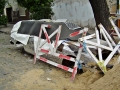 P1010006-baja.jpg