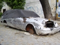 P1010230-baja.jpg