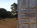 MG_3443-2