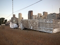 MG_3481-2